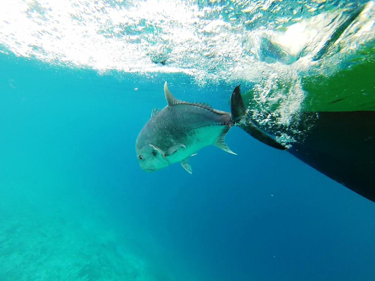 Summer Shade Maldives Dharavandhoo Bagian luar foto