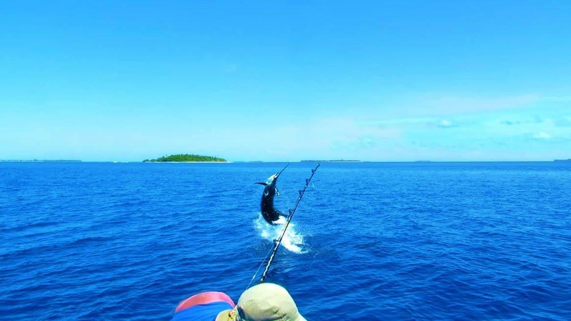 Summer Shade Maldives Dharavandhoo Bagian luar foto