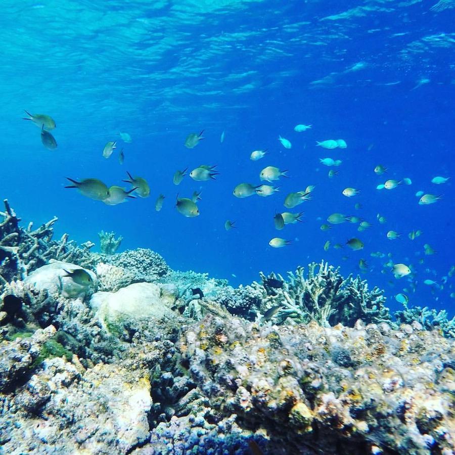 Summer Shade Maldives Dharavandhoo Bagian luar foto